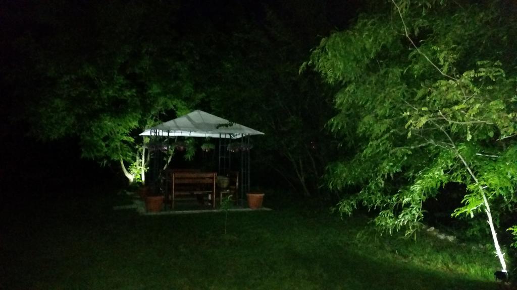 Vila Dincic Doo Veliko Gradiste Bagian luar foto