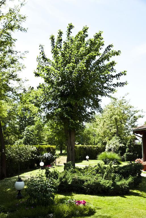 Vila Dincic Doo Veliko Gradiste Bagian luar foto